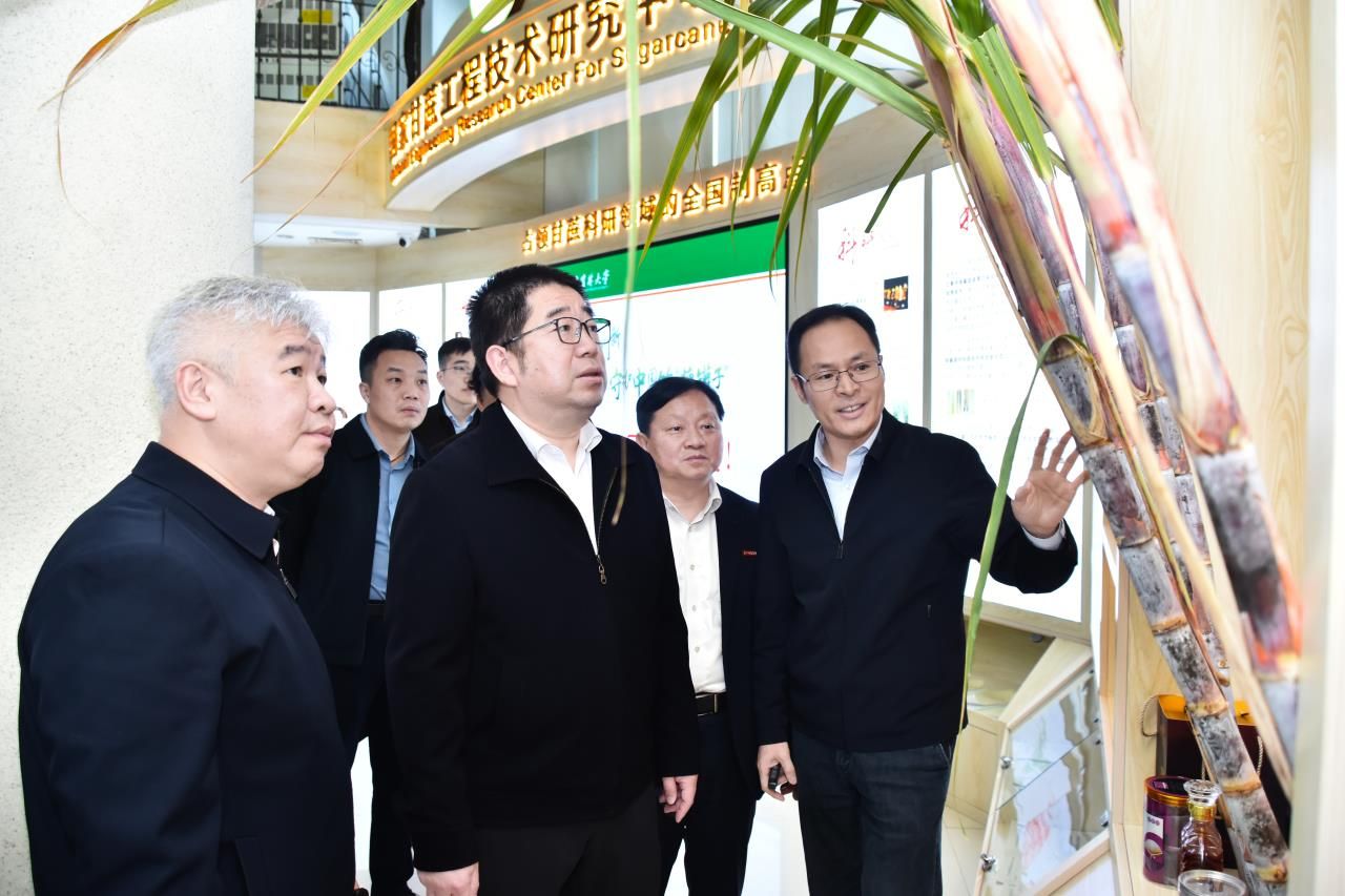 福建省发展和改革委员会党组书记、主任孟芊于2026年莅临中心调研